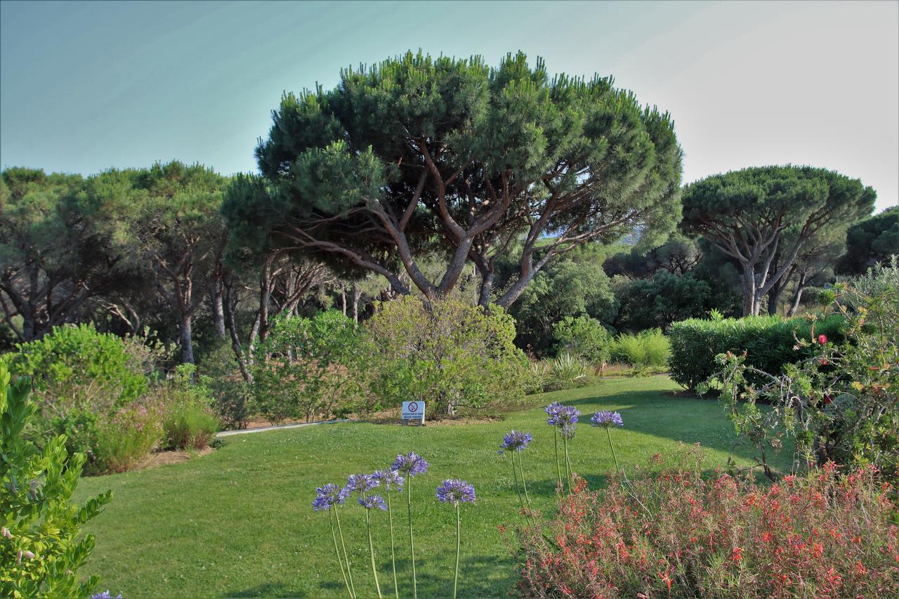Appartement Les Pins Bleus A8 Sainte-Maxime Kültér fotó
